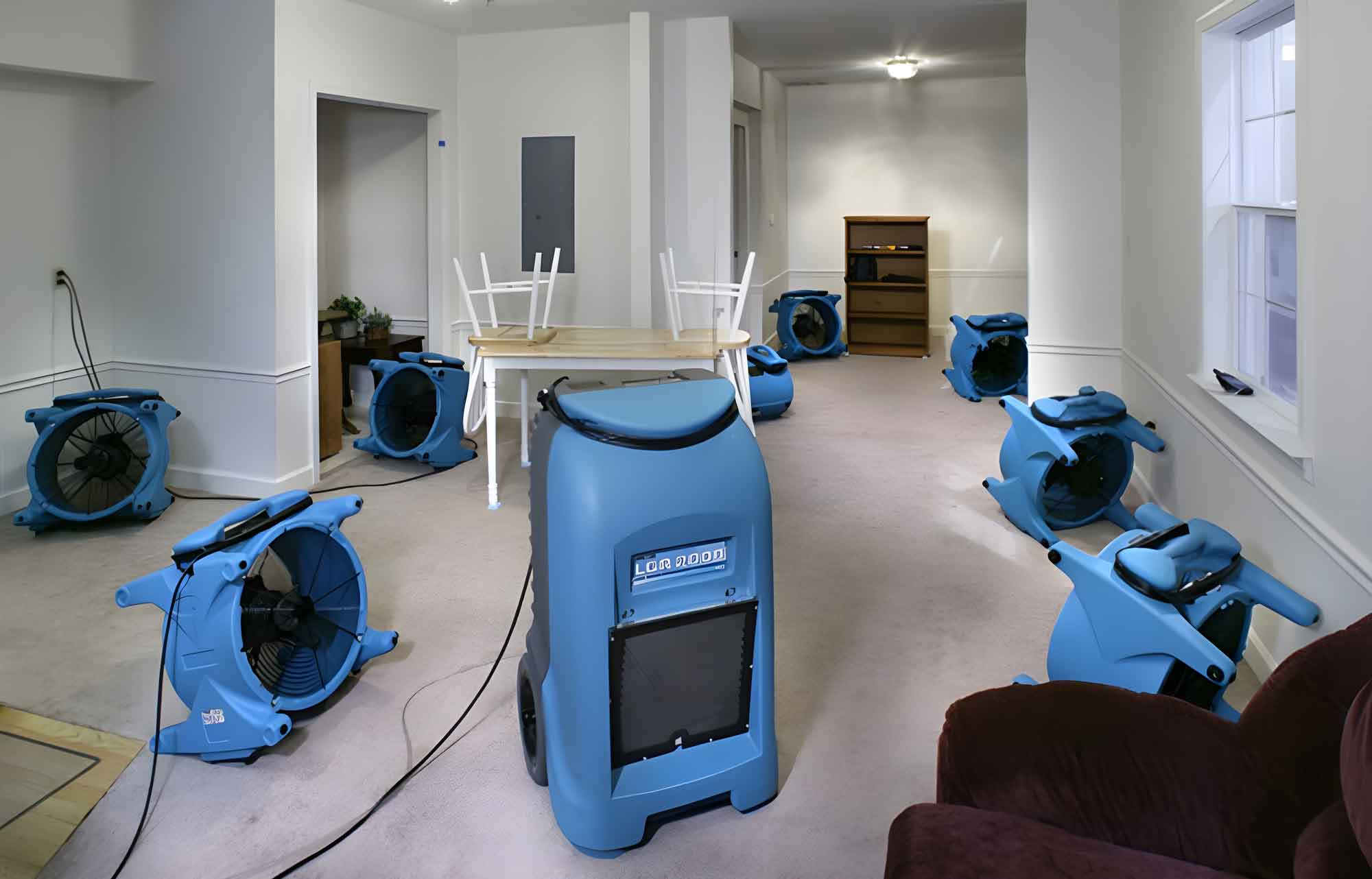 Industrial air movers and dehumidifiers positioned for carpet and underlay drying after flood damage