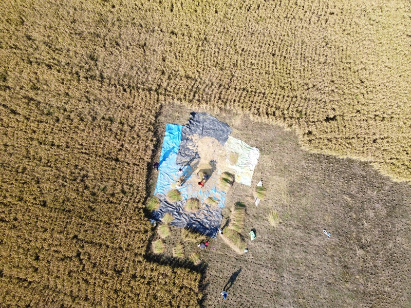 Water damaged carpet in a Sydney home — insurance claim guide for homeowners