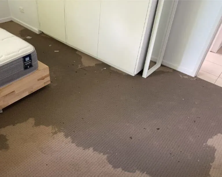 Water damage restoration professional assessing wet carpet and underlay moisture levels