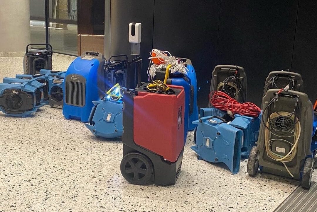 Professional water damage restoration equipment including dehumidifiers and air movers for carpet drying