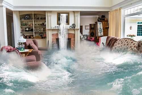Water damage restoration professional extracting water from flooded carpet
