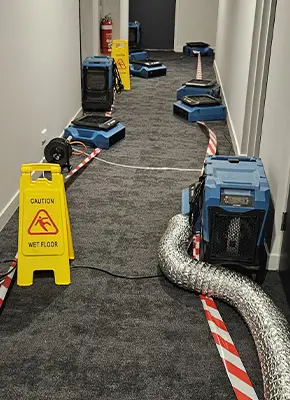 Professional carpet drying service with industrial air movers in Melbourne home