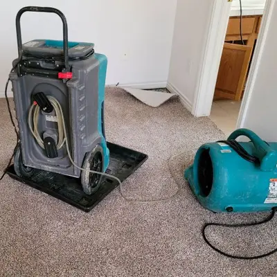 Professional Carpet Drying Services in Australia: The Complete Buyer’s Guide